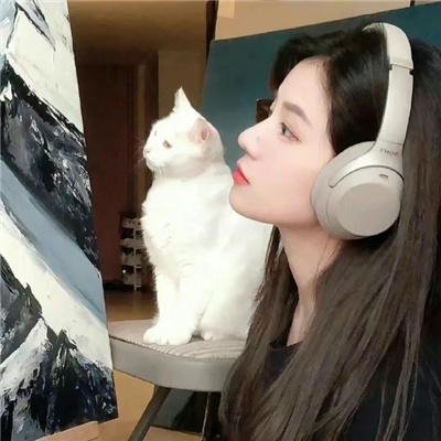 儿子,你都干了什么